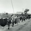 Amerykańscy jeńcy wojenni na półwyspie Bataan niosą chorych towarzyszy, Filipiny, maj 1942 r.