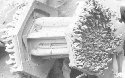 Śnieg - widok z mikroskopu elektronowego