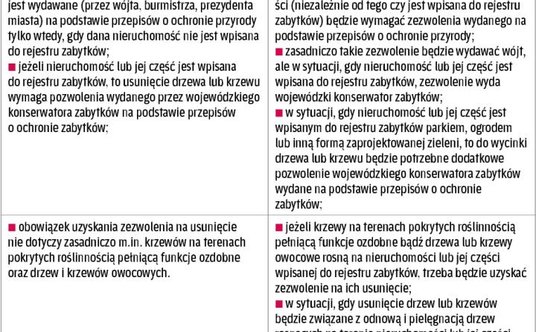 Co zmienia się w zezwoleniach