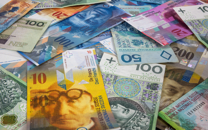 Marek Domagalski: Uchwała frankowa dzieli podwójnie