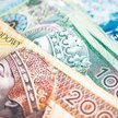 Nawet 300 samorządów może być obecnie zadłużonych w parabankach.