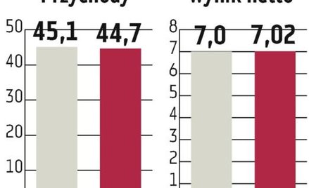Aplisens: W 2011 r. wzrost mniej dynamiczny