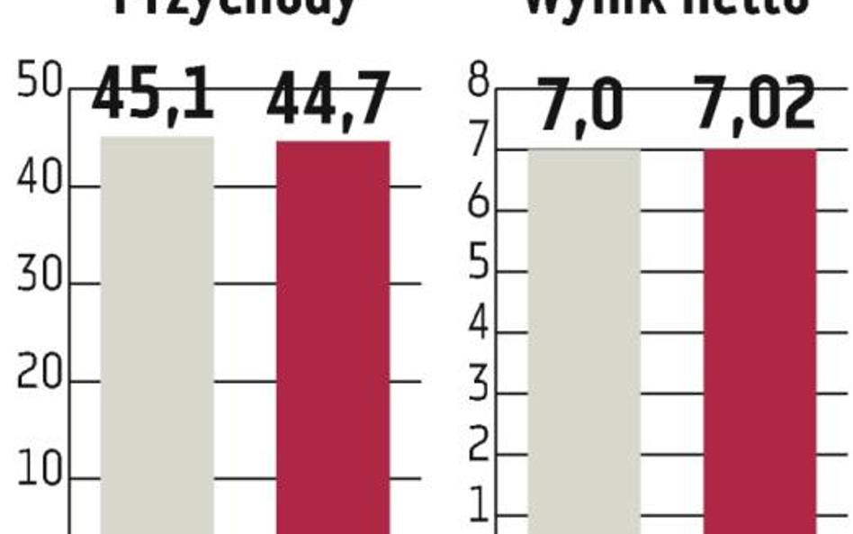 Aplisens: W 2011 r. wzrost mniej dynamiczny