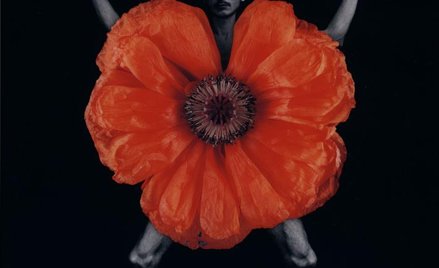 Zofia Kulig - fotografia z cyklu Ogród; 1996-2004; Wystawa „Na Zachętę do Muzeum" czynna do 2 marca