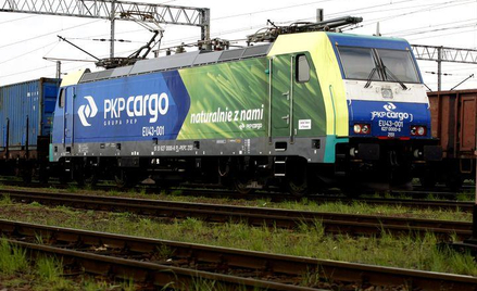 Doradca prywatyzacyjny rekomenduje sprzedaż pakietu większościowego – 50 proc. plus jedna akcja.
