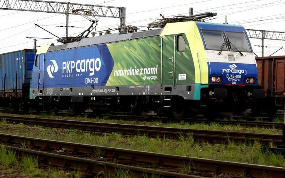 Doradca prywatyzacyjny rekomenduje sprzedaż pakietu większościowego – 50 proc. plus jedna akcja.