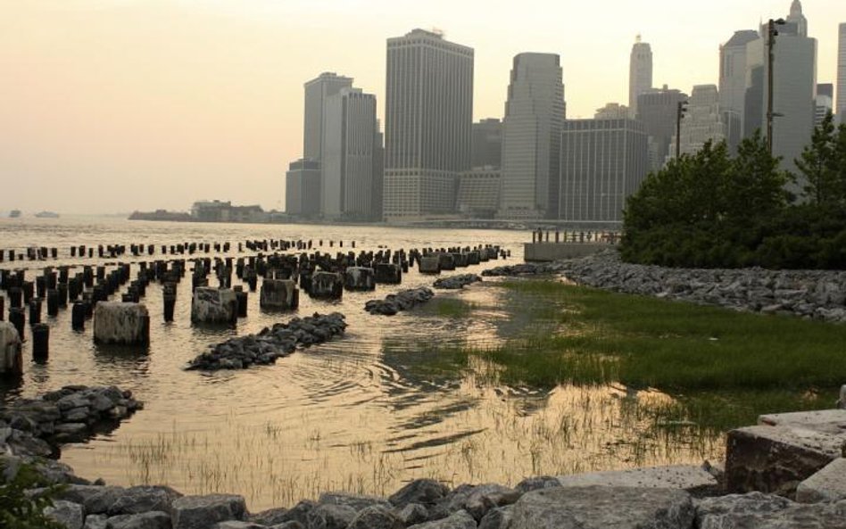 Więcej zarabiają niż ich firmy płacą podatków