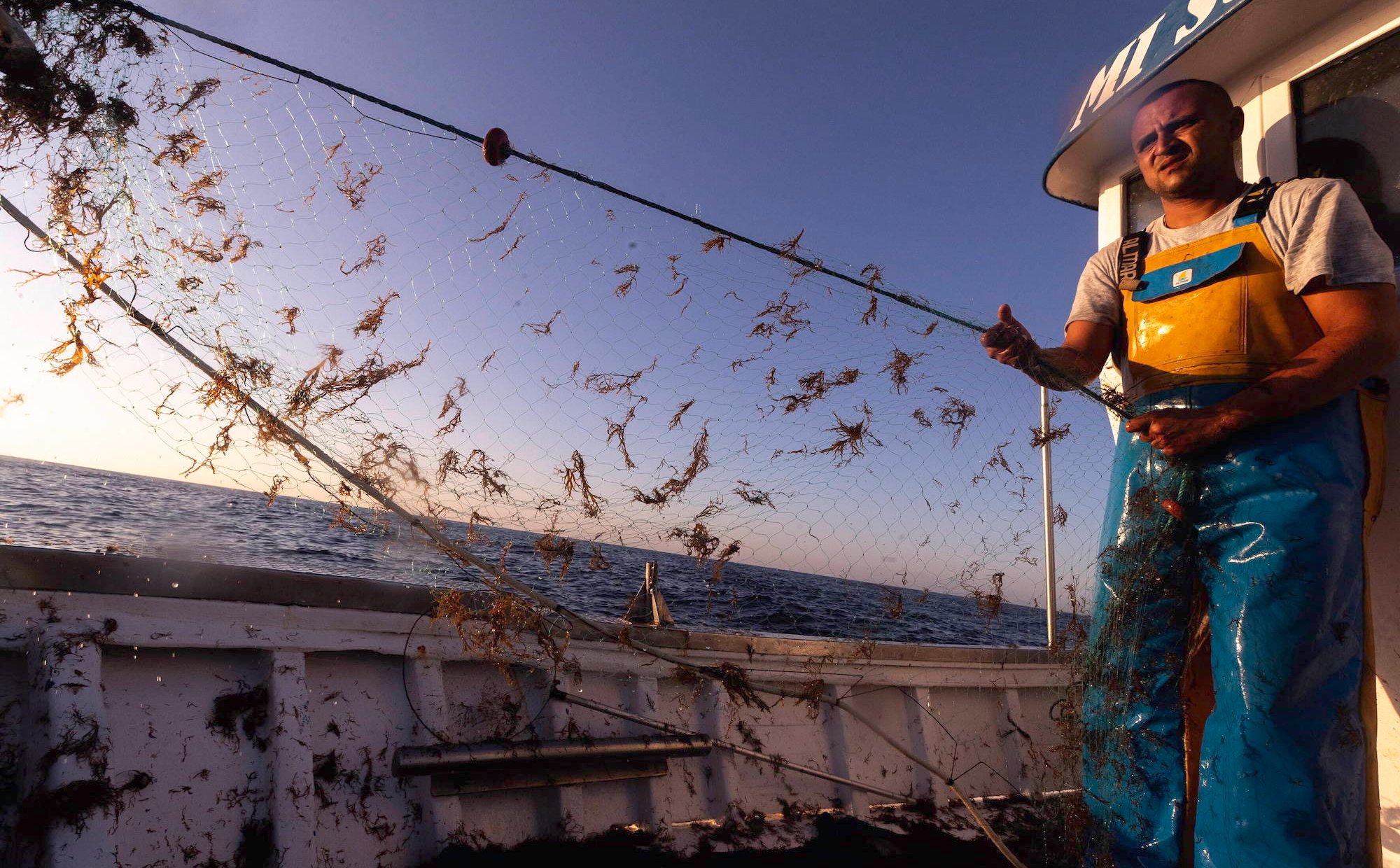 Tysiące ton inwazyjnych wodorostów na plażach w Hiszpanii. Władze są bezradne