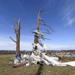 Ogromne tornada spustoszyły Kentucky. Dziesiątki ofiar