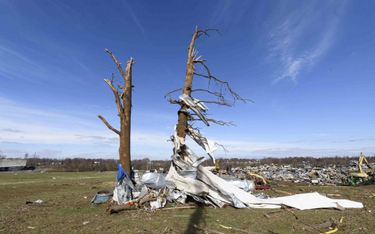 Ogromne tornada spustoszyły Kentucky. Dziesiątki ofiar