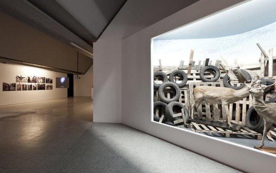 Nikita Kadan, Bez tytułu (Departament Politycznej Historii Naturalnej), fot. B. Stawiarski