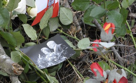 Prof. Michael Baden: Katastrofa smoleńska to pierwszy przypadek, kiedy nie chciano mojej pomocy