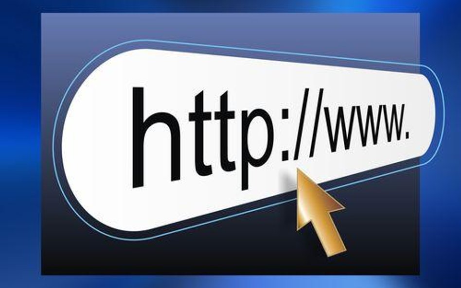 Numer IP nie wystarcza do postawienia zarzutów