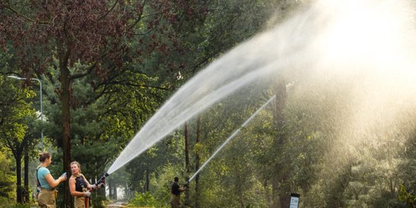 Climate disinformation thrives in Europe despite fires and droughts