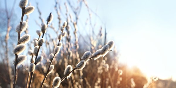 Pogoda na Wielkanoc. Najpierw nawet 21 stopni, a później nagłe ochłodzenie