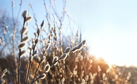 Synoptycy podali najnowsze prognozy pogody na Wielkanoc