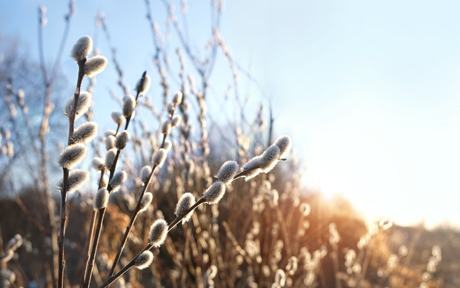 Synoptycy podali najnowsze prognozy pogody na Wielkanoc