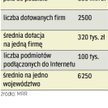 Dotacje na internet. Dzięki 200 mln euro z UE szacuje się, że dotacje do końca 2015 r. dostanie aż 2