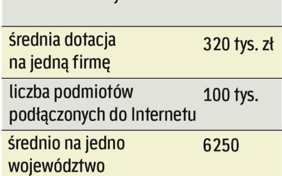 Dotacje na internet. Dzięki 200 mln euro z UE szacuje się, że dotacje do końca 2015 r. dostanie aż 2