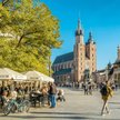 Rynek Starego Miasta w Krakowie ma się stopniowo zazieleniać. Dziś rośnie na nim jedynie 50 drzew.