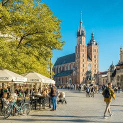 Rynek Starego Miasta w Krakowie ma się stopniowo zazieleniać. Dziś rośnie na nim jedynie 50 drzew.