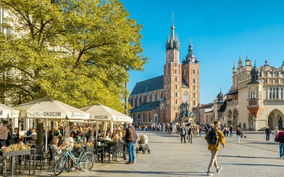 Rynek Starego Miasta w Krakowie ma się stopniowo zazieleniać. Dziś rośnie na nim jedynie 50 drzew.