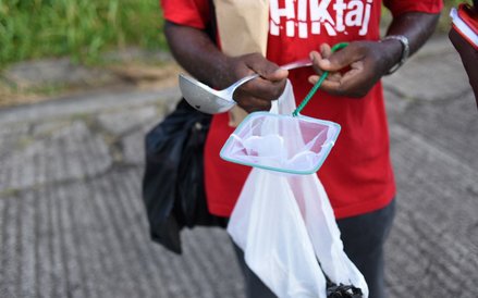 Zbieranie komarów na Martynice