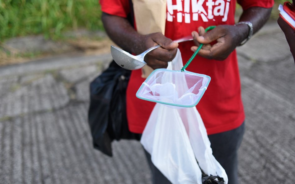 Zbieranie komarów na Martynice