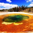 Mało rejonów na świecie jest tak chronionych jak amerykański park Yellowstone