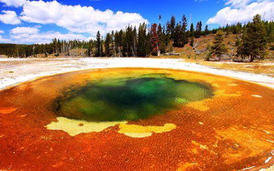 Mało rejonów na świecie jest tak chronionych jak amerykański park Yellowstone