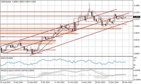 Wykres dzienny USDPLN