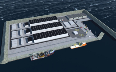 Dania przyspiesza budowę wysp energetycznych
