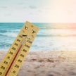 Skutki El Nino Polacy mogą odczuć przede wszystkim w rosnących cenach żywności