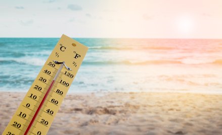 Skutki El Nino Polacy mogą odczuć przede wszystkim w rosnących cenach żywności