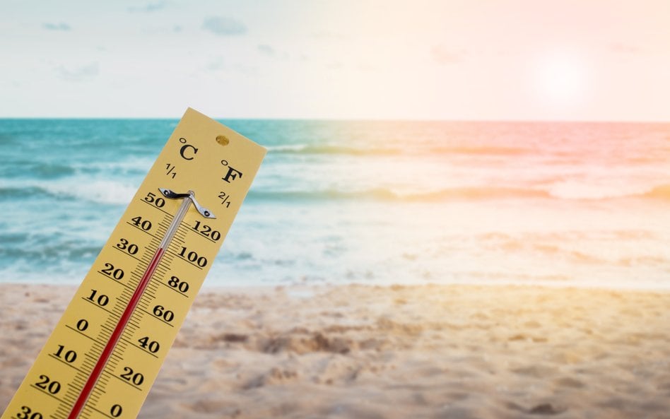 Skutki El Nino Polacy mogą odczuć przede wszystkim w rosnących cenach żywności