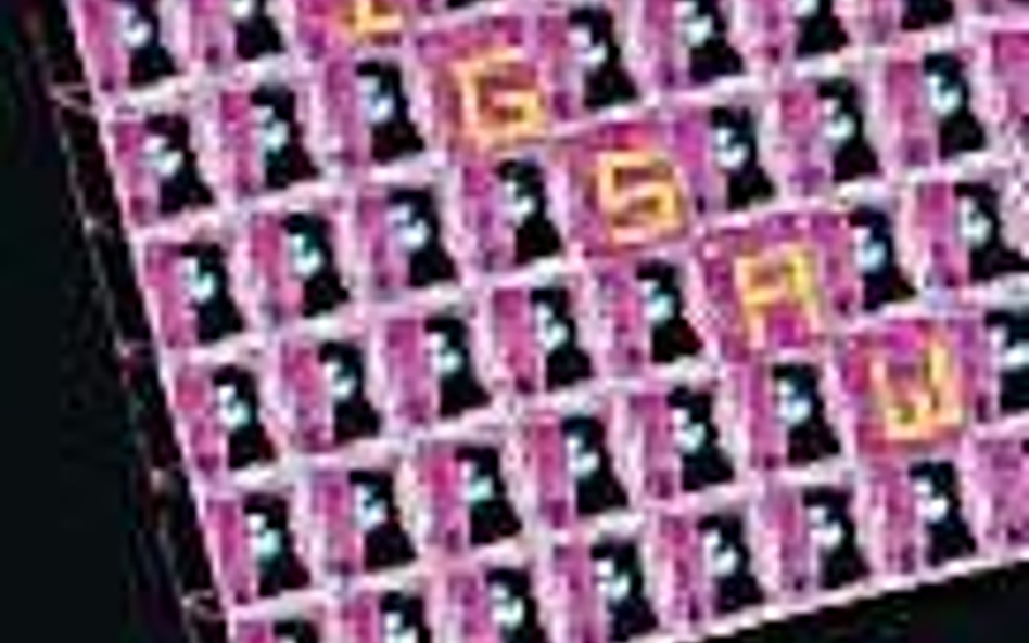 Lady Sovereign JIGSAW; CD Sonic 2009