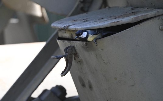 Nasz teren – jak wykorzystać sprzęt w czasie pokoju: bogatka w armatohaubicy. Fot. Jan Rapczyński