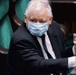 Piątka dla zwierząt, czyli Kaczyński i bestie