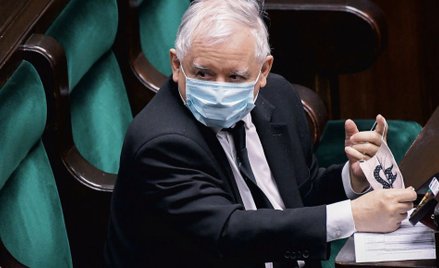 Piątka dla zwierząt, czyli Kaczyński i bestie