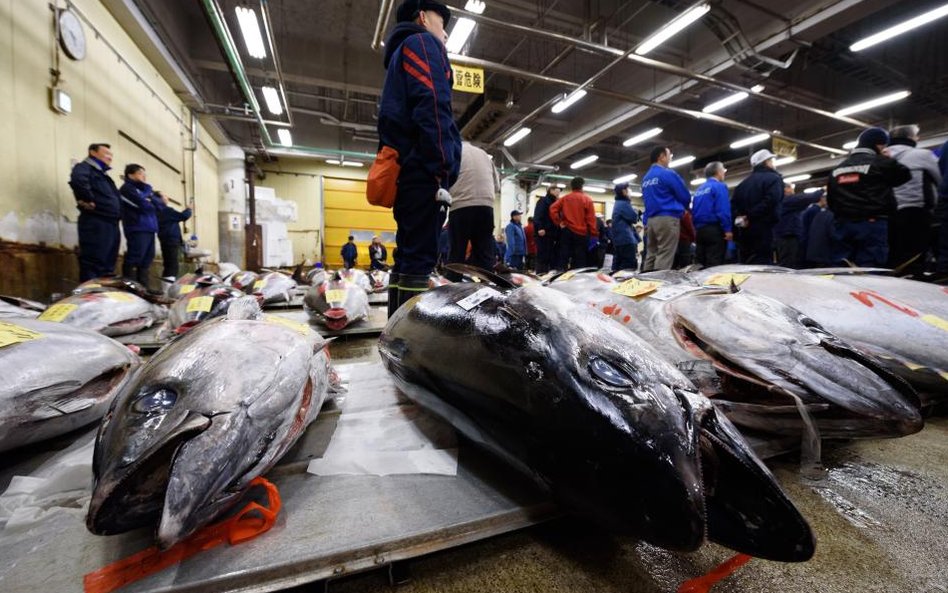 Pierwsza aukcja tuńczyna w 2018 roku na rynku Tsukiji