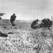 Egzekucja Żydów kijowskich dokonana przez niemieckie oddziały Einsatzgruppen niedaleko Iwangorodu na