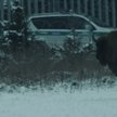 „Bloodline" w reżyserii Wojciecha Węglarza