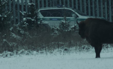 „Bloodline" w reżyserii Wojciecha Węglarza