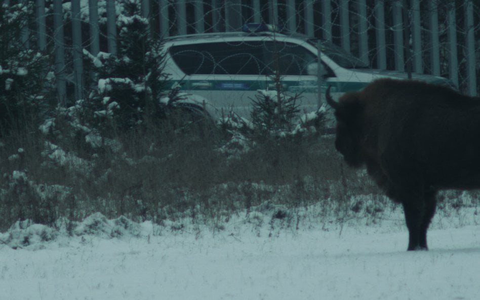 „Bloodline" w reżyserii Wojciecha Węglarza