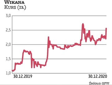Kurs Wikany w ciągu roku poszybował w górę o 140 proc. Dewelopera próżno szukać na szczycie rankingu