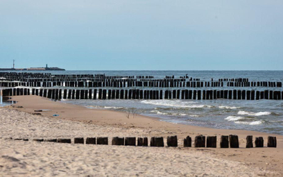Morze Bałtyckie jest źródłem naturalnych substancji bioaktywnych