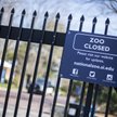 Zoo w Niemczech proszą Merkel o pieniądze