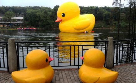 Hongkong: Po 10 latach powróciły gigantyczne "Gumowe kaczki”