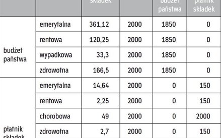 Finansowanie składek za nianię