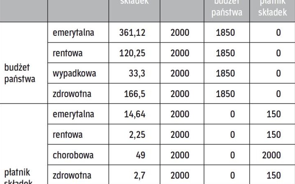 Finansowanie składek za nianię
